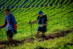 BIB: 481
                            <button type="button" onclick="openModal(19160457)" class="btn btn-primary btn-sm float-right btn-popup" data-toggle="modal" data-target=".modal-high-quality">
                        <i class="fas fa-shopping-cart"></i> Add to Cart
                    </button>
                                            <button type="button" onclick="isThisMe(19160457, true)" class="btn btn-success btn-sm float-right btn-popup btn-isme hidden" data-toggle="tooltip" data-placement="bottom" title="นี่คือรูปของคุณใช่ไหม คลิกที่นี่เพื่อเอาเข้าอัลบั้ม">
                        <i class="fas fa-plus"></i> Add to album
                    </button>
                    <button type="button" onclick="isThisMe(19160457, false)" class="btn btn-warning btn-sm float-right btn-popup btn-isnotme hidden">
                        <i class="fas fa-ban"></i> Remove from album
                    </button>